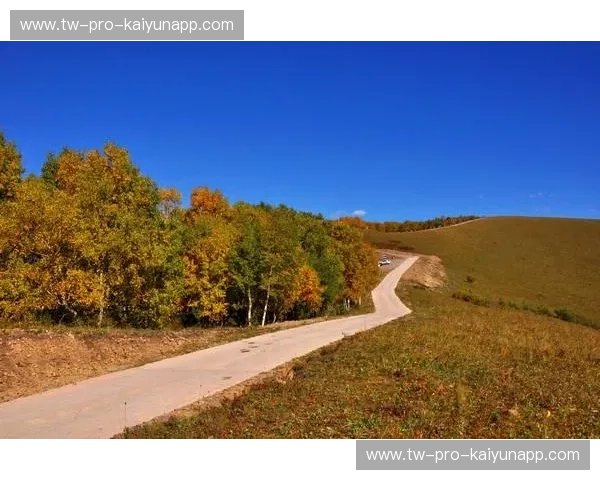 地中海雄鹰与东欧白桦林的对决:阿尔巴尼亚vs白俄罗斯,一场关于灵魂与激情的深度碰撞 地中海雄鹰与东欧白桦林的对决:阿尔巴尼亚vs白俄罗斯,一场关于灵魂与激情的深度碰撞
